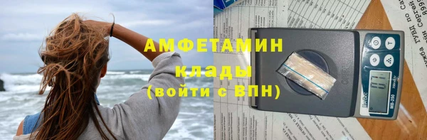 трава Гусиноозёрск