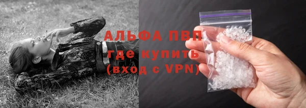 трава Гусиноозёрск