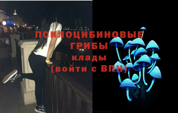 тгк Гусев