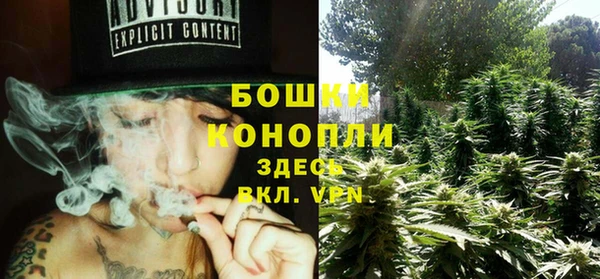 крисы Гусь-Хрустальный