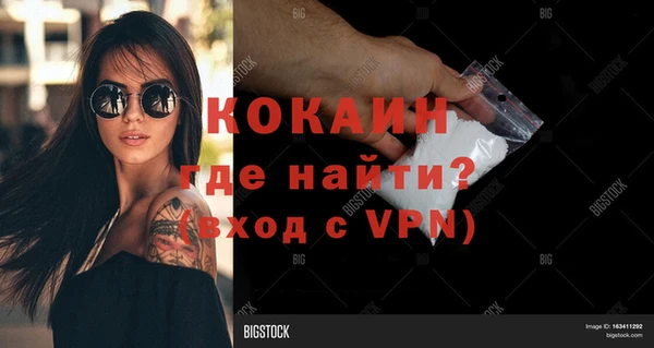 мет Дмитров