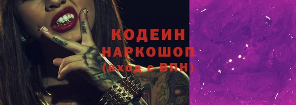 крисы Гусь-Хрустальный