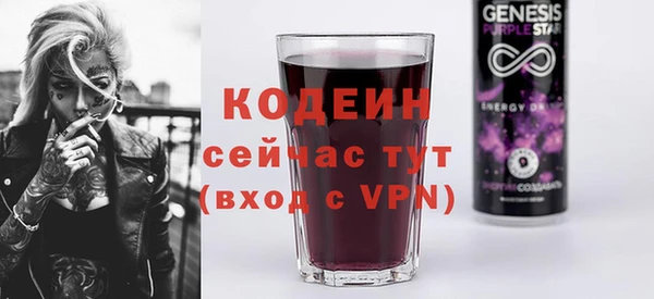 тгк Гусев