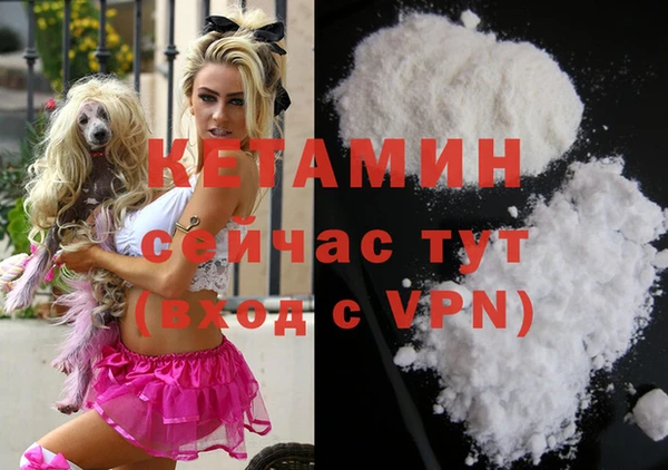 трава Гусиноозёрск