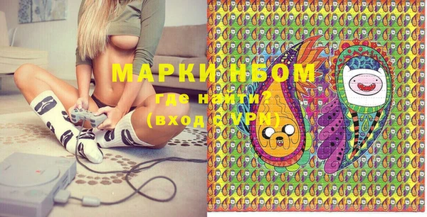 тгк Гусев