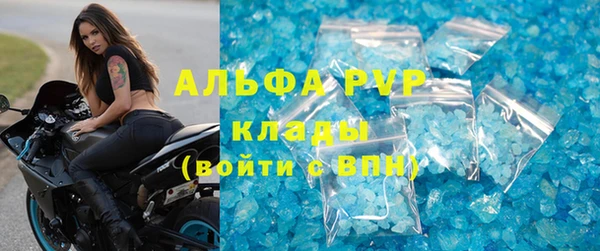 СК Дмитровск