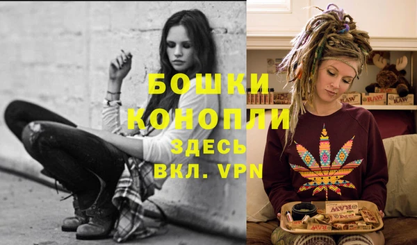 крисы Гусь-Хрустальный