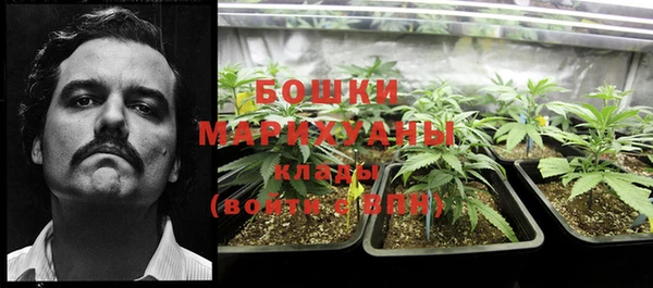 тгк Гусев