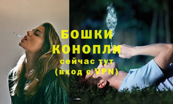 тгк Гусев