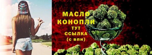 мет Дмитров