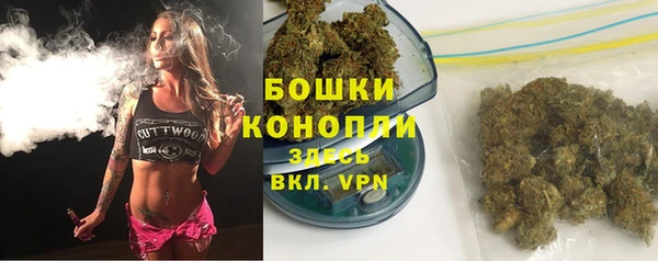 крисы Гусь-Хрустальный