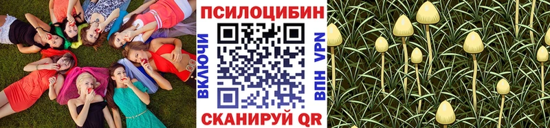 Купить где  Кинель  Псилоцибиновые грибы Cubensis 
