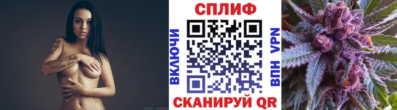 Купить закладки  Кинель  Шишки марихуана VHQ 